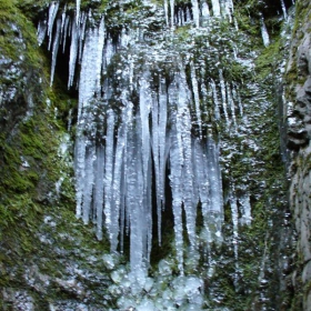 ледени висулки