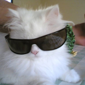 Снимка без име