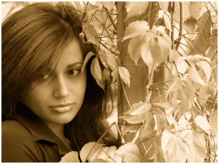 Dream to you