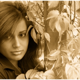 Dream to you