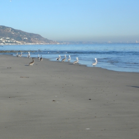 Malibu beach