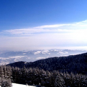 vitosha