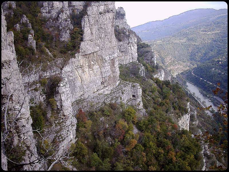 Лакатник
