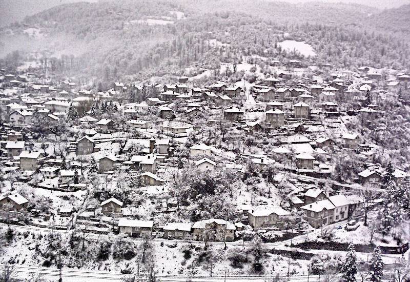 лакатник