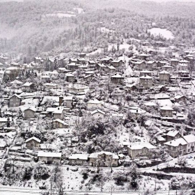 лакатник