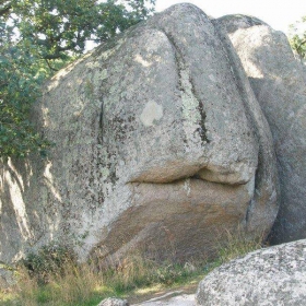 Begliktash2