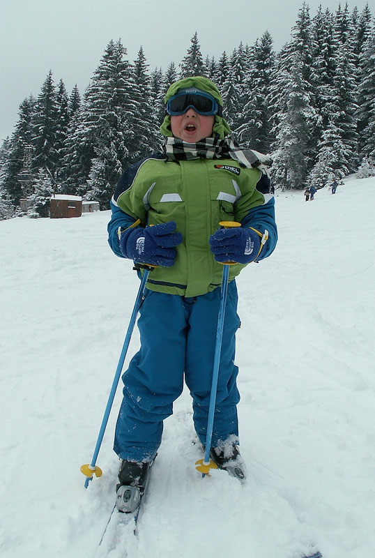 Skior