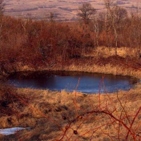 Езерце