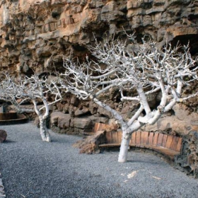 jameos de aqua