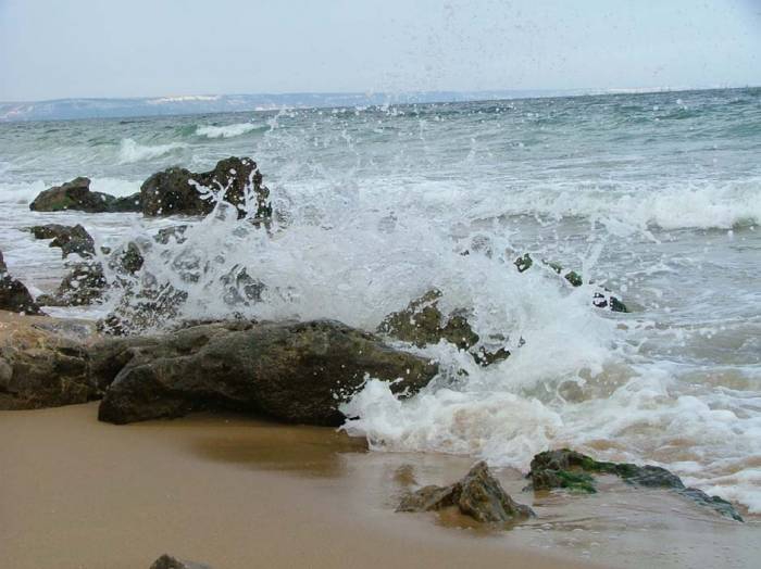 moreto2