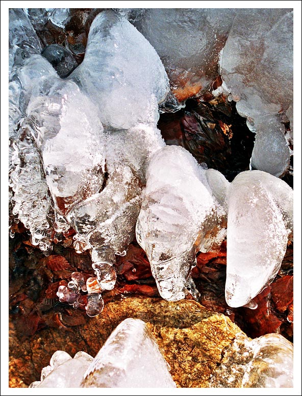 Ледени форми