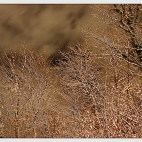 from my window...