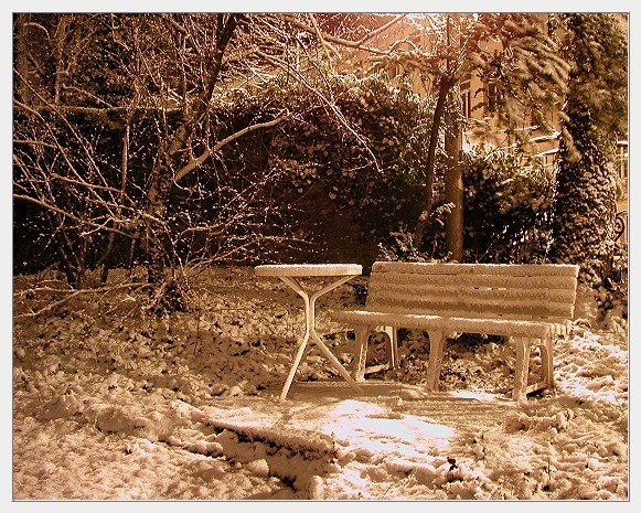 winterdream
