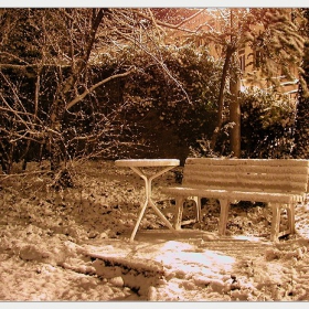 winterdream
