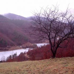 През зимата в планината