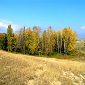 Есенен оазис
