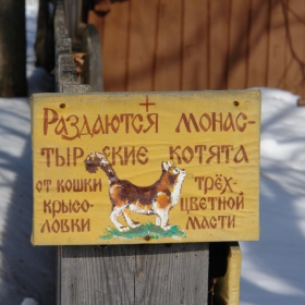 В добрые руки...