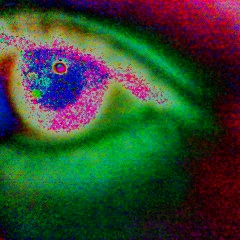 eye