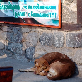 Благодаря че ме подминахте!