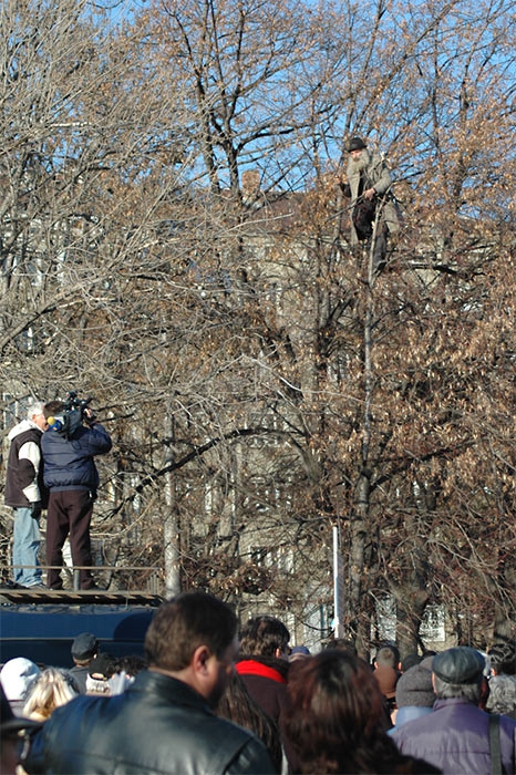 Кацнал на едно дърво 2