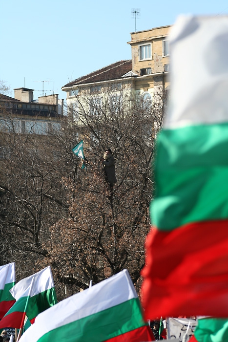 Кацнал на едно дърво (София, 03.03.2006г. - митинг на 