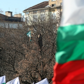 Кацнал на едно дърво (София, 03.03.2006г. - митинг на 
