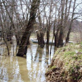 Нивото на р.Дунав при Ново село...