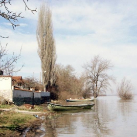 Ново село - р.Дунав