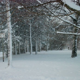 finnish winter