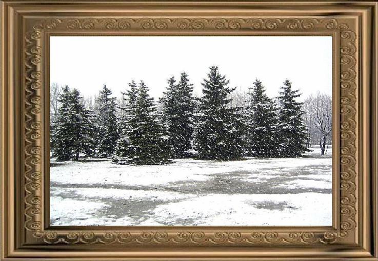 Палитра 