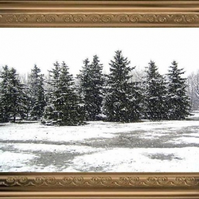 Палитра 