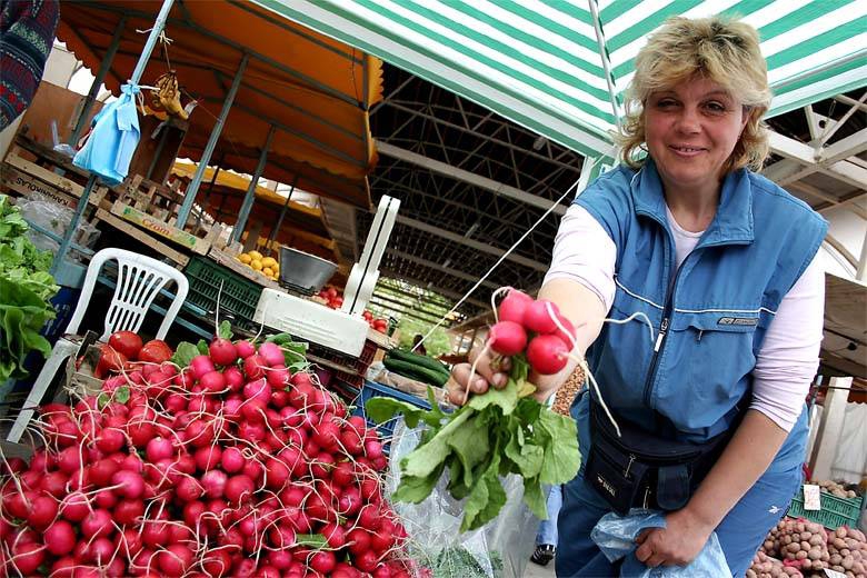 пресни репички