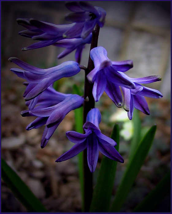 ...springtime...