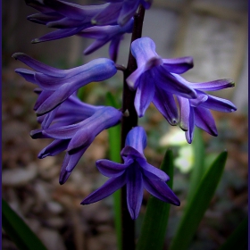 ...springtime...