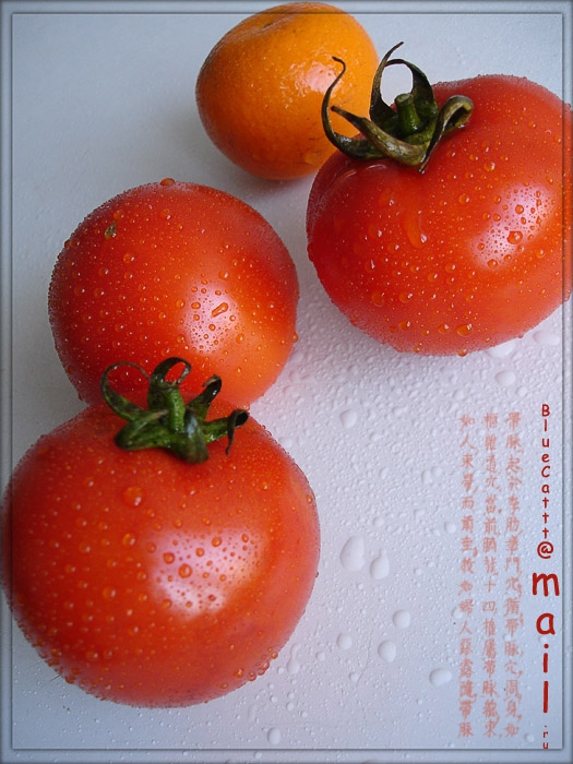 tomato's glamour
