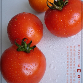 tomato's glamour