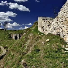 Никопол - последната Шишманова опора