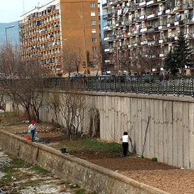 Аре на плантацията