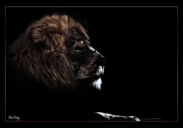 The King