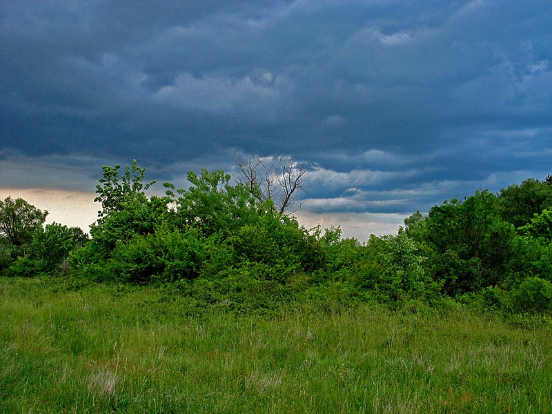 the storm