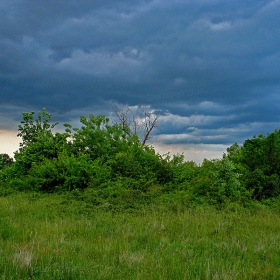 the storm