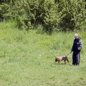 Момчето с кучето