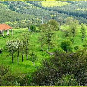 в полите на Средна гора