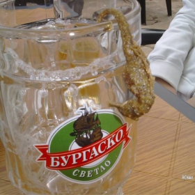 bira i vodnokon4e