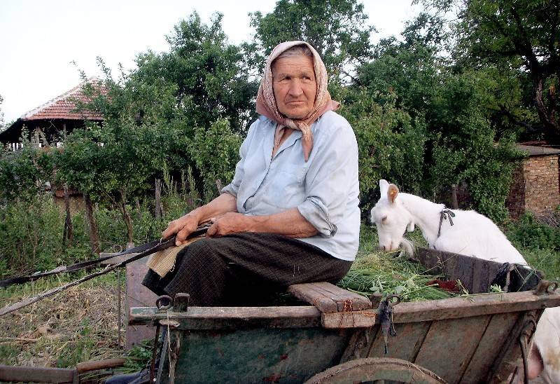 Снимка без име