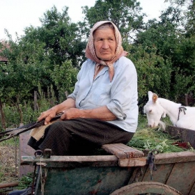 Снимка без име