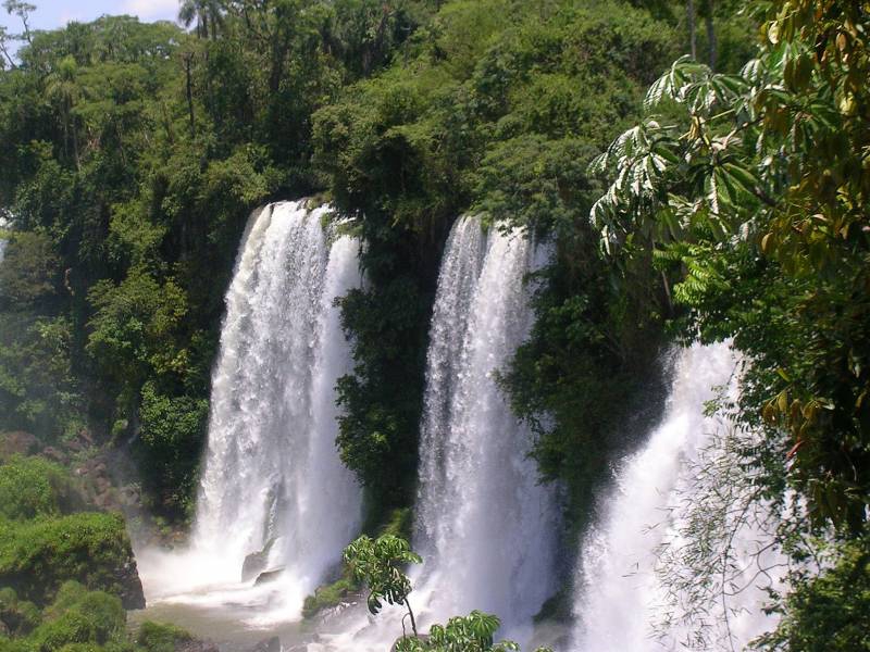 Водата 