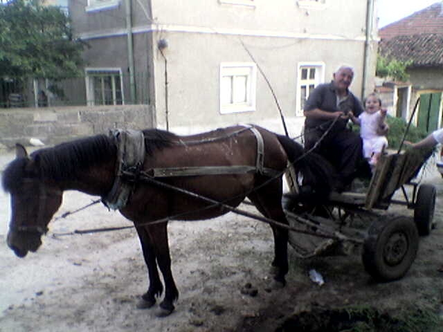 Снимка без име