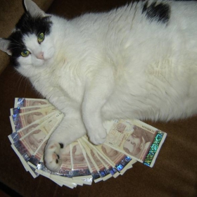 friend ONEly with the money