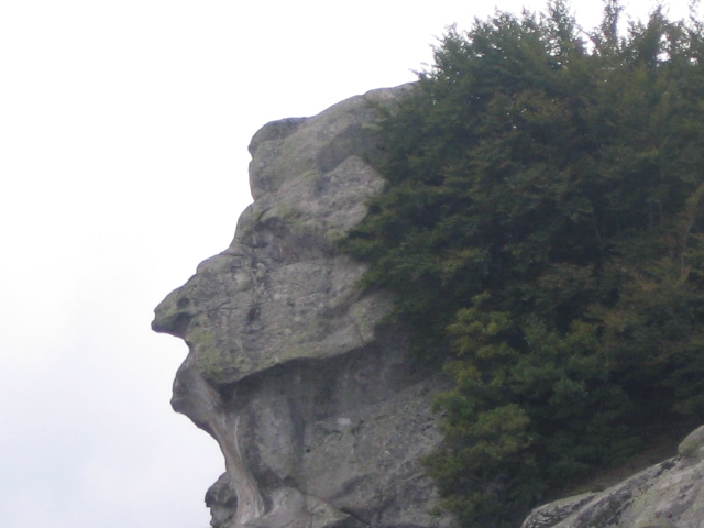 profil na ......